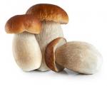 Mushrooms Image