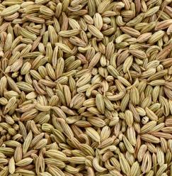 Fennel Seeds (India) 1kg Image