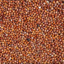 Quinoa Red (Peru) 1kg Image