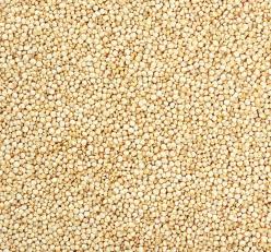 Quinoa White (Peru) 1kg Image